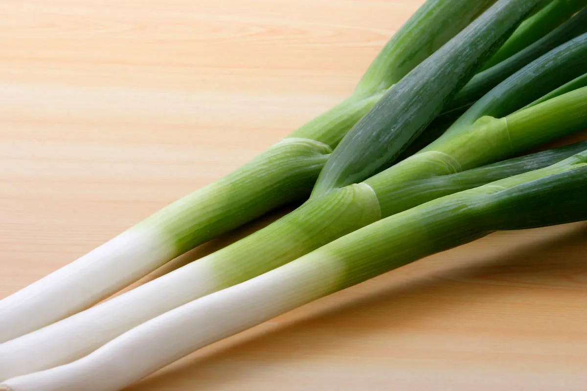 MAIN — 薬味系野菜